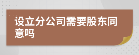 设立分公司需要股东同意吗