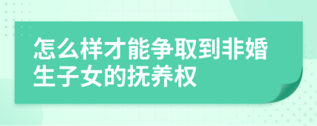 怎么样才能争取到非婚生子女的抚养权