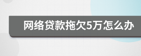 网络贷款拖欠5万怎么办