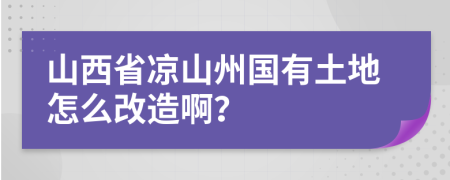 山西省凉山州国有土地怎么改造啊？