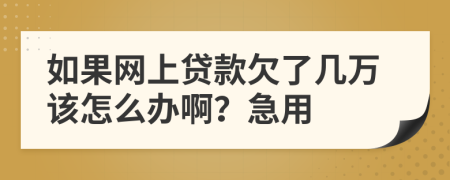 如果网上贷款欠了几万该怎么办啊？急用