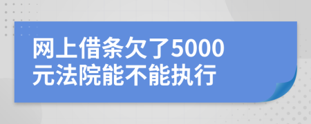 网上借条欠了5000元法院能不能执行