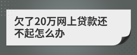 欠了20万网上贷款还不起怎么办