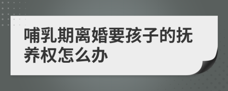 哺乳期离婚要孩子的抚养权怎么办