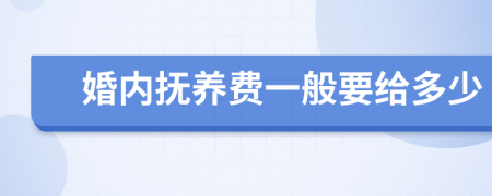 婚内抚养费一般要给多少