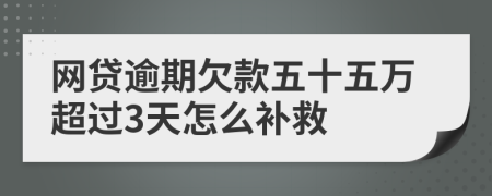 网贷逾期欠款五十五万超过3天怎么补救