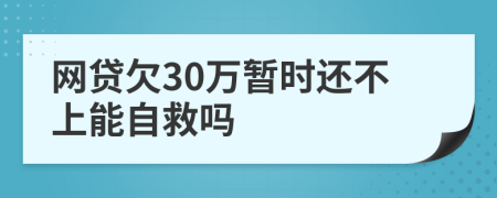 网贷欠30万暂时还不上能自救吗