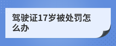 驾驶证17岁被处罚怎么办