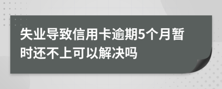 失业导致信用卡逾期5个月暂时还不上可以解决吗