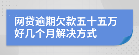 网贷逾期欠款五十五万好几个月解决方式