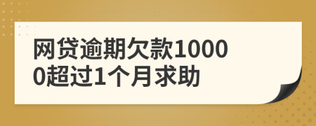 网贷逾期欠款10000超过1个月求助