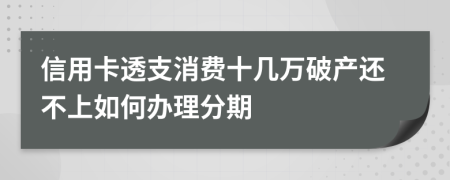信用卡透支消费十几万破产还不上如何办理分期