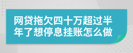 网贷拖欠四十万超过半年了想停息挂账怎么做