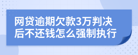 网贷逾期欠款3万判决后不还钱怎么强制执行