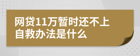 网贷11万暂时还不上自救办法是什么