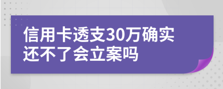 信用卡透支30万确实还不了会立案吗