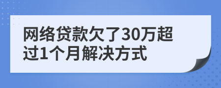 网络贷款欠了30万超过1个月解决方式