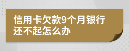信用卡欠款9个月银行还不起怎么办