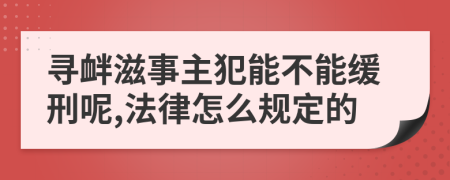 寻衅滋事主犯能不能缓刑呢,法律怎么规定的