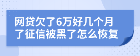 网贷欠了6万好几个月了征信被黑了怎么恢复