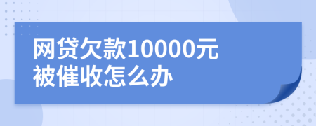 网贷欠款10000元被催收怎么办