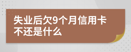 失业后欠9个月信用卡不还是什么