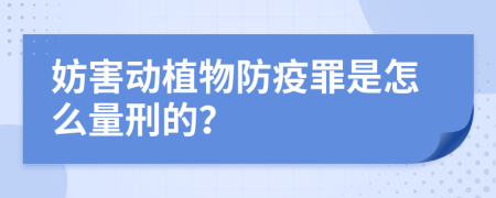 妨害动植物防疫罪是怎么量刑的？