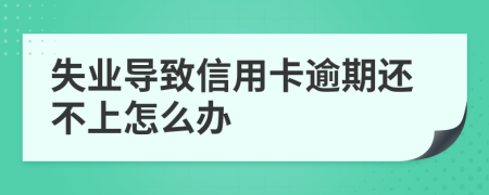 失业导致信用卡逾期还不上怎么办