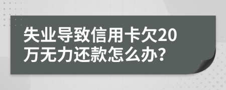 失业导致信用卡欠20万无力还款怎么办？