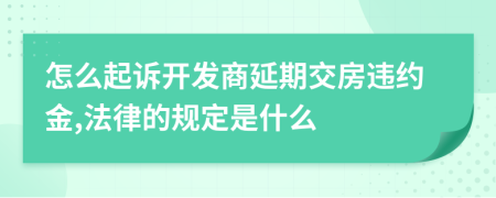 怎么起诉开发商延期交房违约金,法律的规定是什么