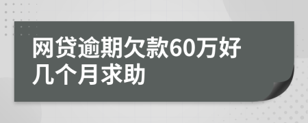 网贷逾期欠款60万好几个月求助