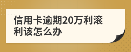 信用卡逾期20万利滚利该怎么办