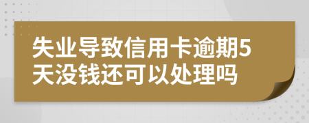 失业导致信用卡逾期5天没钱还可以处理吗