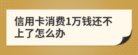 信用卡消费1万钱还不上了怎么办