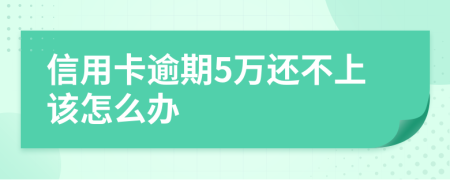 信用卡逾期5万还不上该怎么办