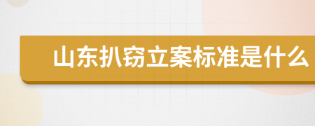 山东扒窃立案标准是什么