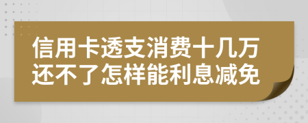 信用卡透支消费十几万还不了怎样能利息减免