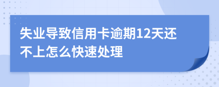 失业导致信用卡逾期12天还不上怎么快速处理