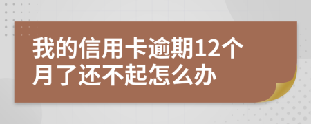 我的信用卡逾期12个月了还不起怎么办