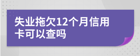 失业拖欠12个月信用卡可以查吗