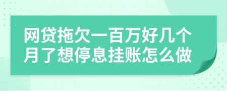 网贷拖欠一百万好几个月了想停息挂账怎么做
