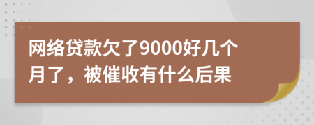 网络贷款欠了9000好几个月了，被催收有什么后果