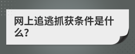 网上追逃抓获条件是什么？