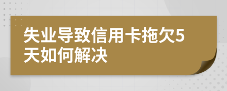 失业导致信用卡拖欠5天如何解决