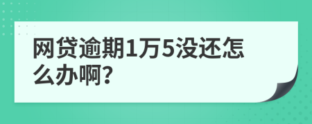 网贷逾期1万5没还怎么办啊？