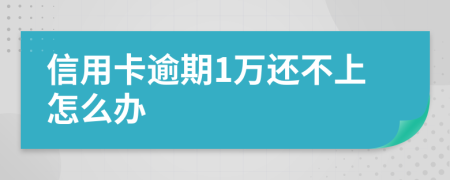 信用卡逾期1万还不上怎么办