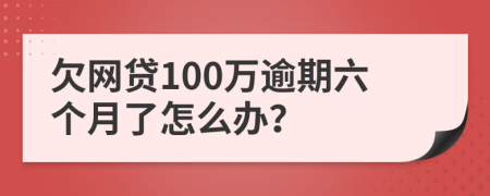欠网贷100万逾期六个月了怎么办？