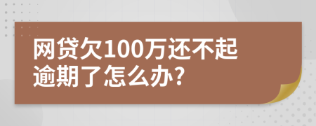 网贷欠100万还不起逾期了怎么办?