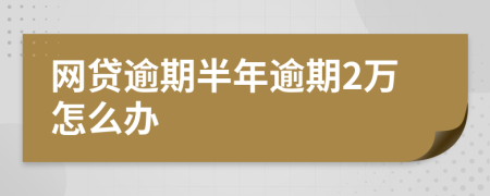 网贷逾期半年逾期2万怎么办