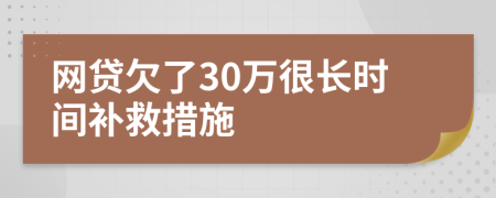 网贷欠了30万很长时间补救措施